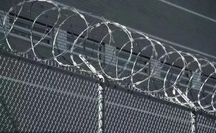 Security wire type reference 1